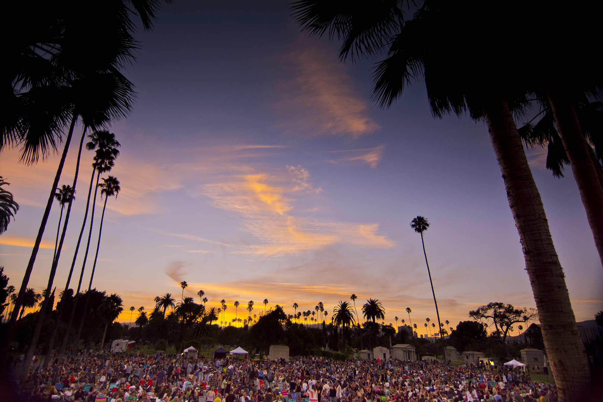 Cinespia Press Image 112 Cinespia Hollywood Forever Cemetery