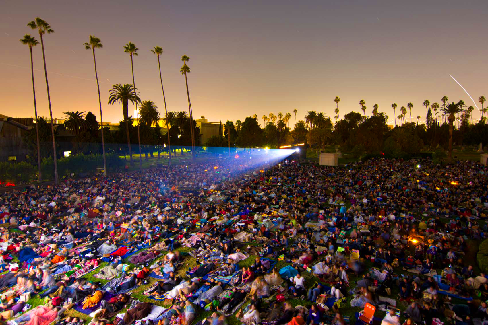 Cinespia Images Audience and Palm Trees