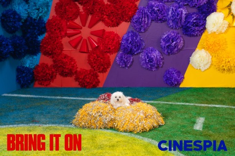 Bring-it-On-0318