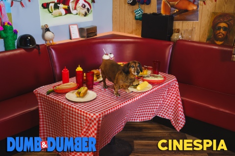 Dumb-Dumber-0361