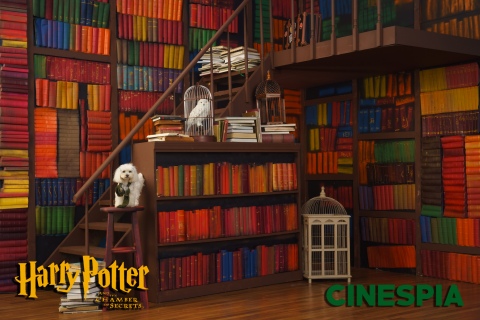 Harry-Potter-2-0213