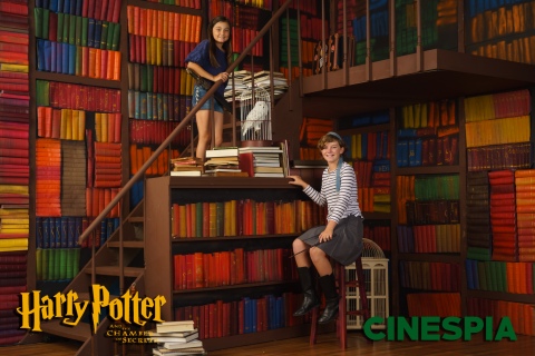 Harry-Potter-2-0478