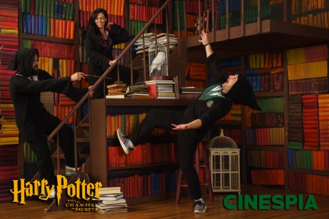Harry-Potter-2-0482