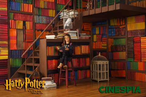 Harry-Potter-2-0589