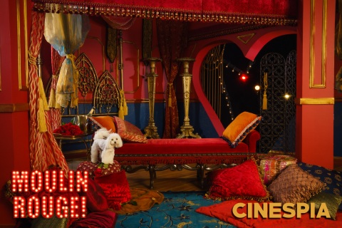 Moulin-Rouge-0236