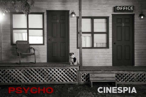 Psycho-0169