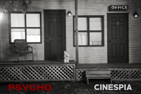 Psycho-0198