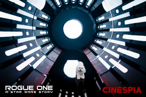Rogue-One-0341