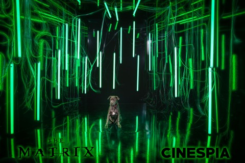 The Matrix - 0508