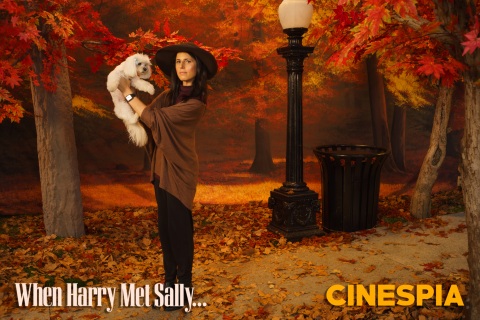 When-Harry-Met-Sally-0123