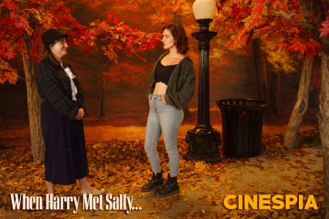 When-Harry-Met-Sally-0509